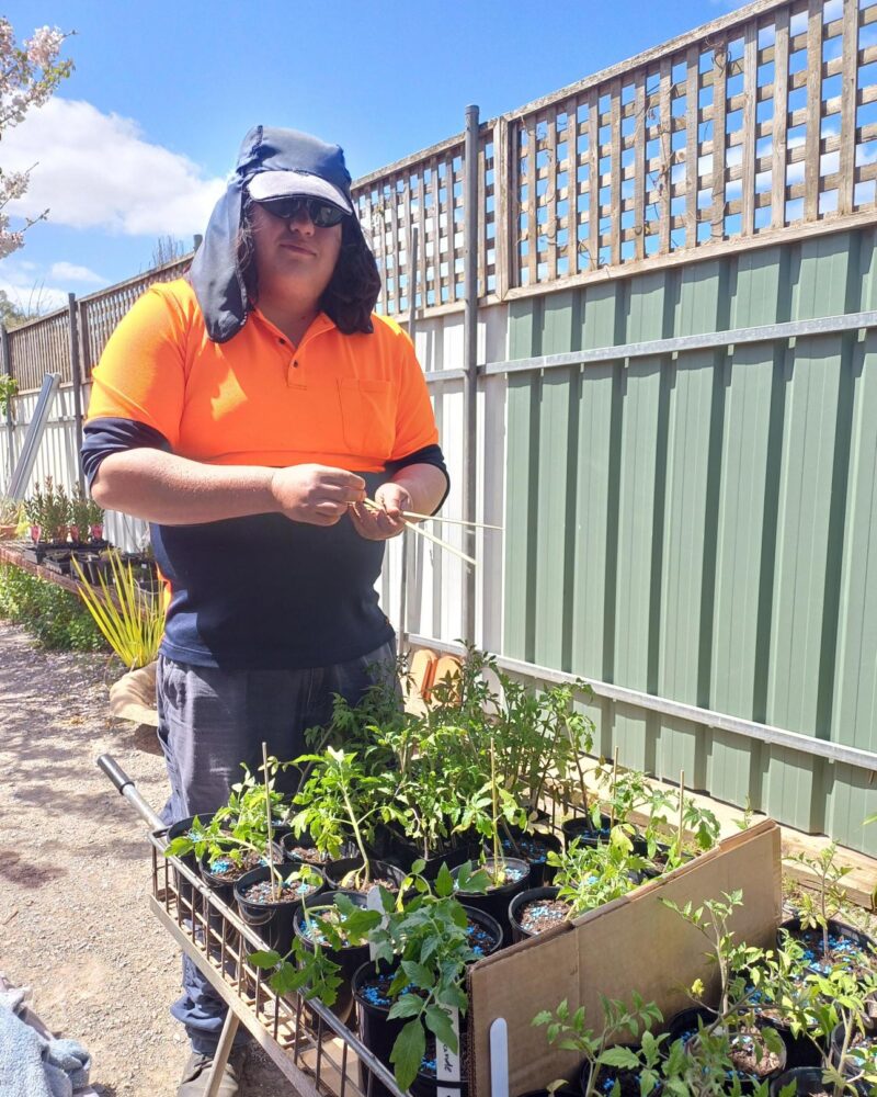 Luke standing beside plants at his work experience at the garden centre